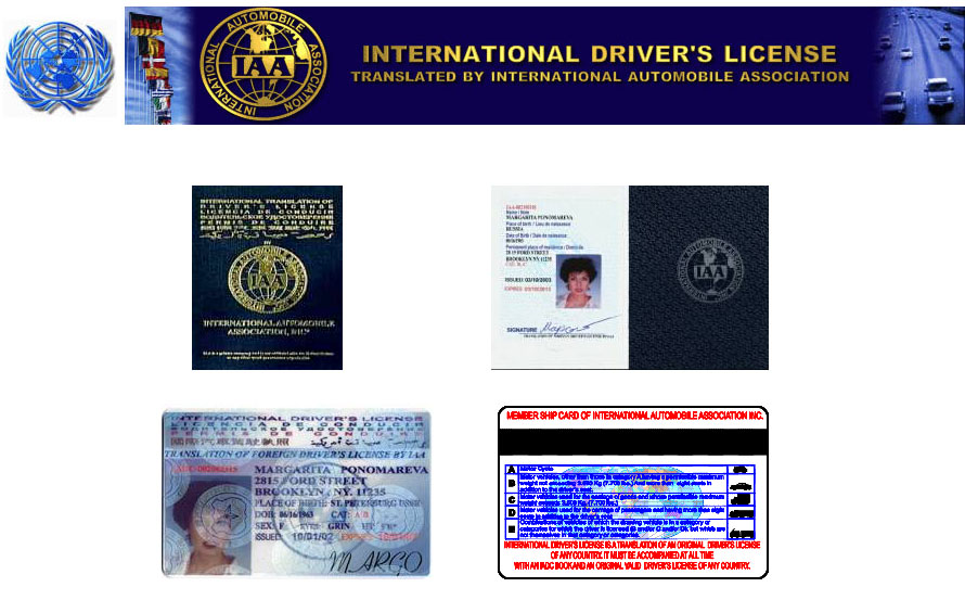 国际驾照(图1)